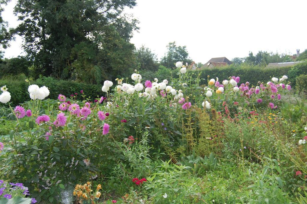 Au Clos Du Logis Maintenay Eksteriør billede